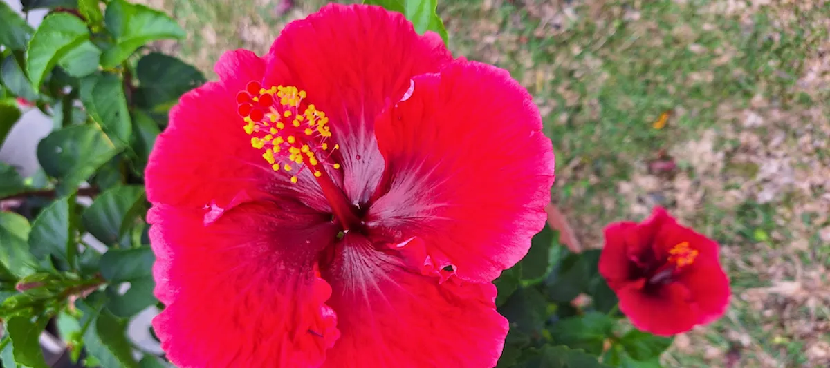 Paysage de l'île de la Réunion, source d'inspiration des bijoux colorés Lovely Lili