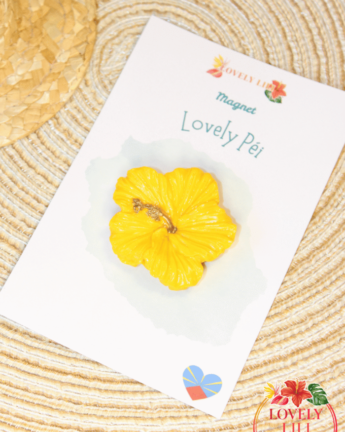 Magnet Lovely Péi hibiscus jaune