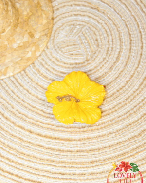Magnet Lovely Péi hibiscus jaune détails