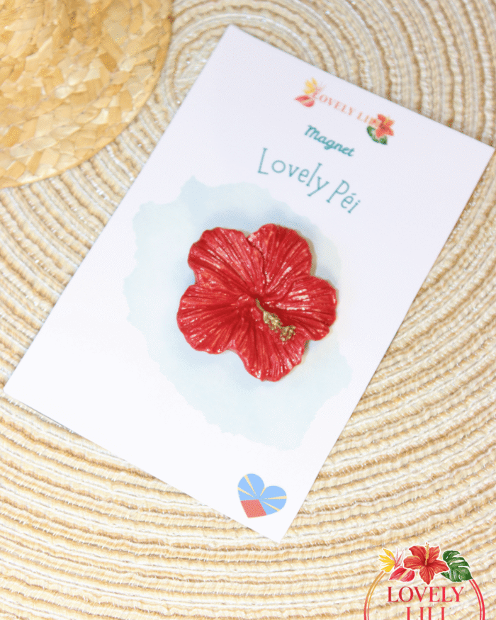 Magnet Lovely Péi hibiscus rouge